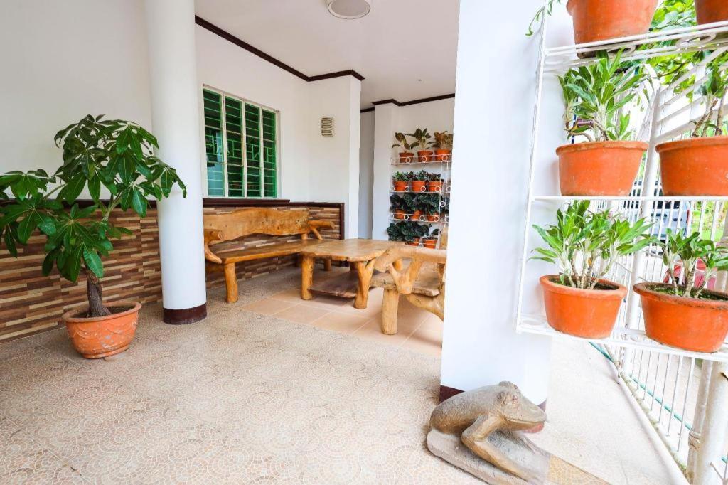 Mayon Backpackers Hostel Legazpi Exterior photo